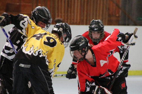 New to Inline Hockey? New to Inline Hockey?